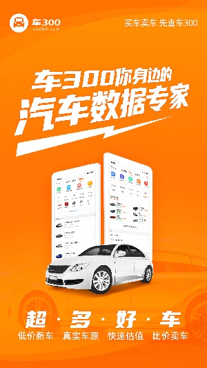 车300二手车app